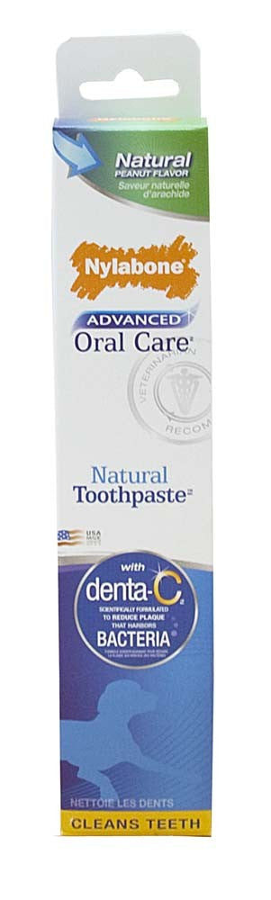 Nylabone Advanced Oral Care Natural Toothpaste Peanut Flavor 1ea/2.5 oz