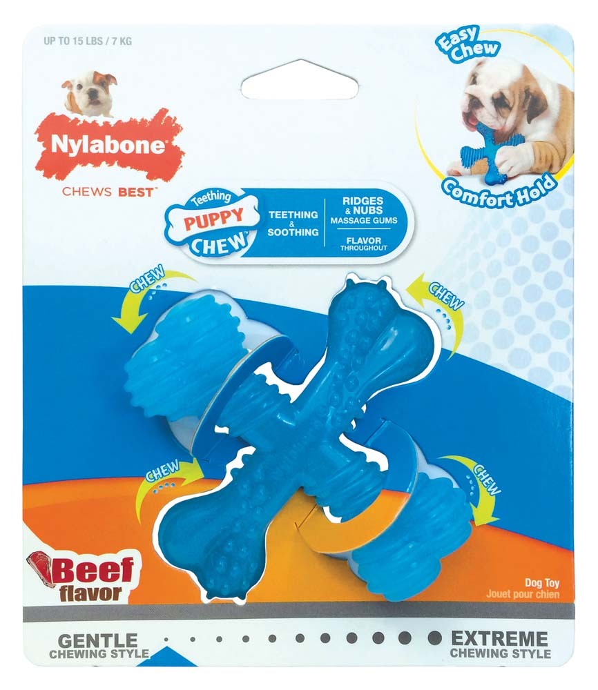 Nylabone Puppy Chew X Bone Chew Toy X Bone Beef Blue 1ea/SMall/Regular - Up To 25 Ibs.