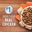 IAMS ProActive Health Healthy Enjoyment Dry Cat Food Chicken & Salmon 1ea/3 lb
