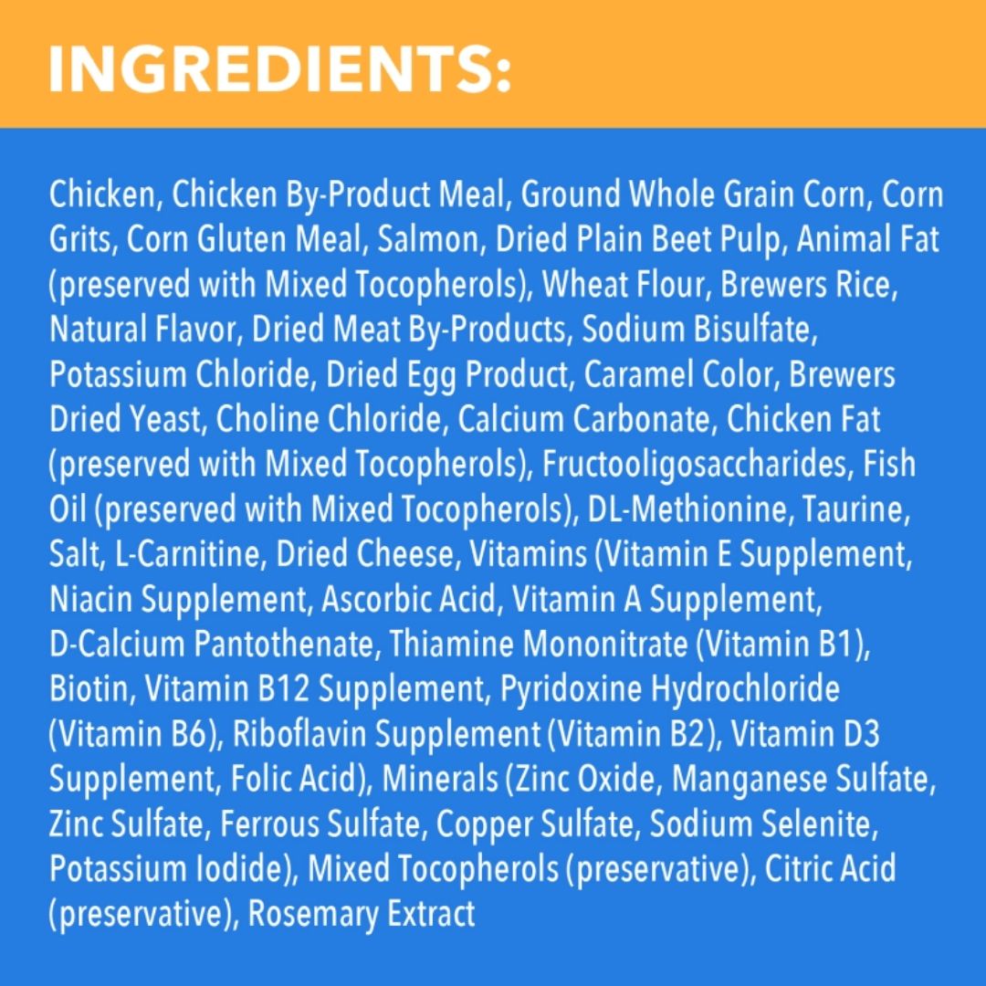 IAMS ProActive Health Healthy Enjoyment Dry Cat Food Chicken & Salmon 1ea/15 lb