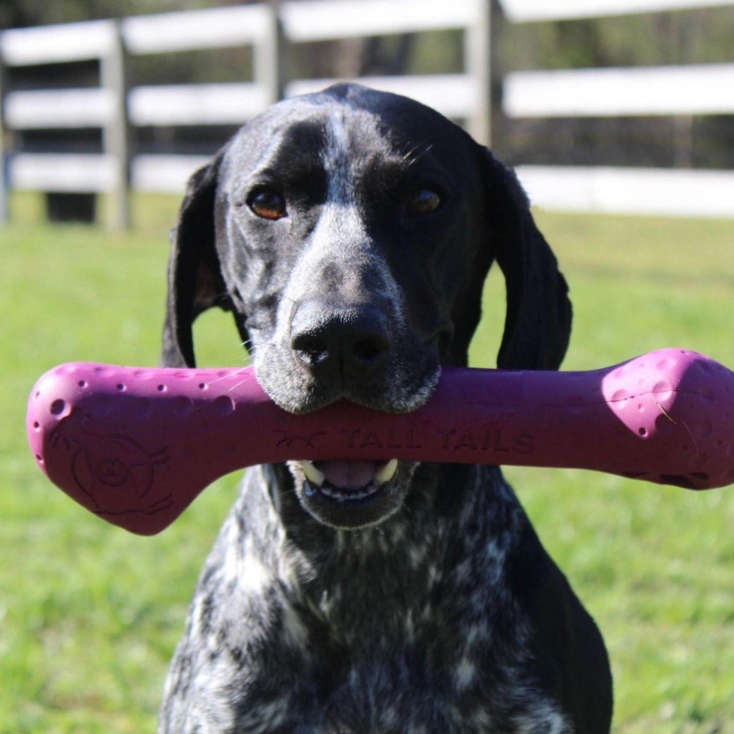 Tall Tails Dog Goat Bone Purple 12 Inch