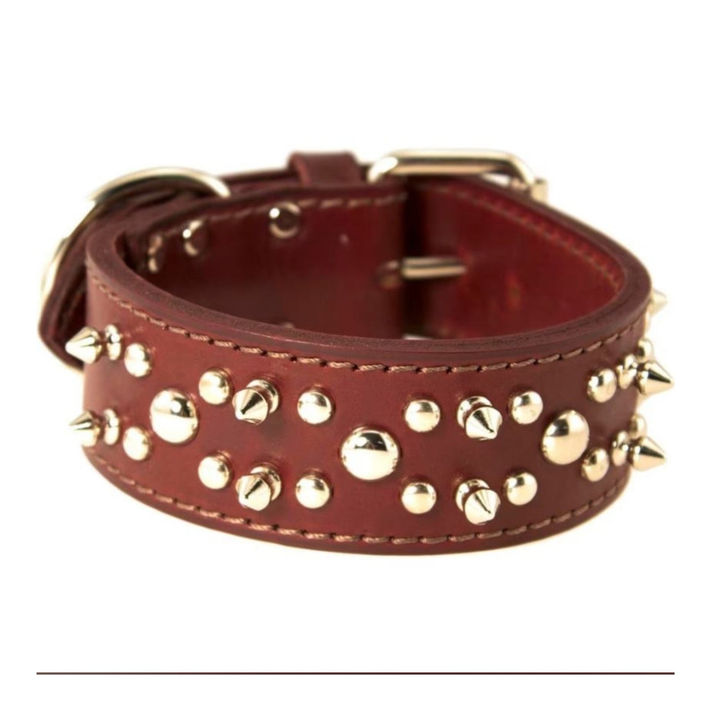 Omni Pet Latigo Leather Spike/Stud Dog Collar Burgundy 1.75 x 22 in.