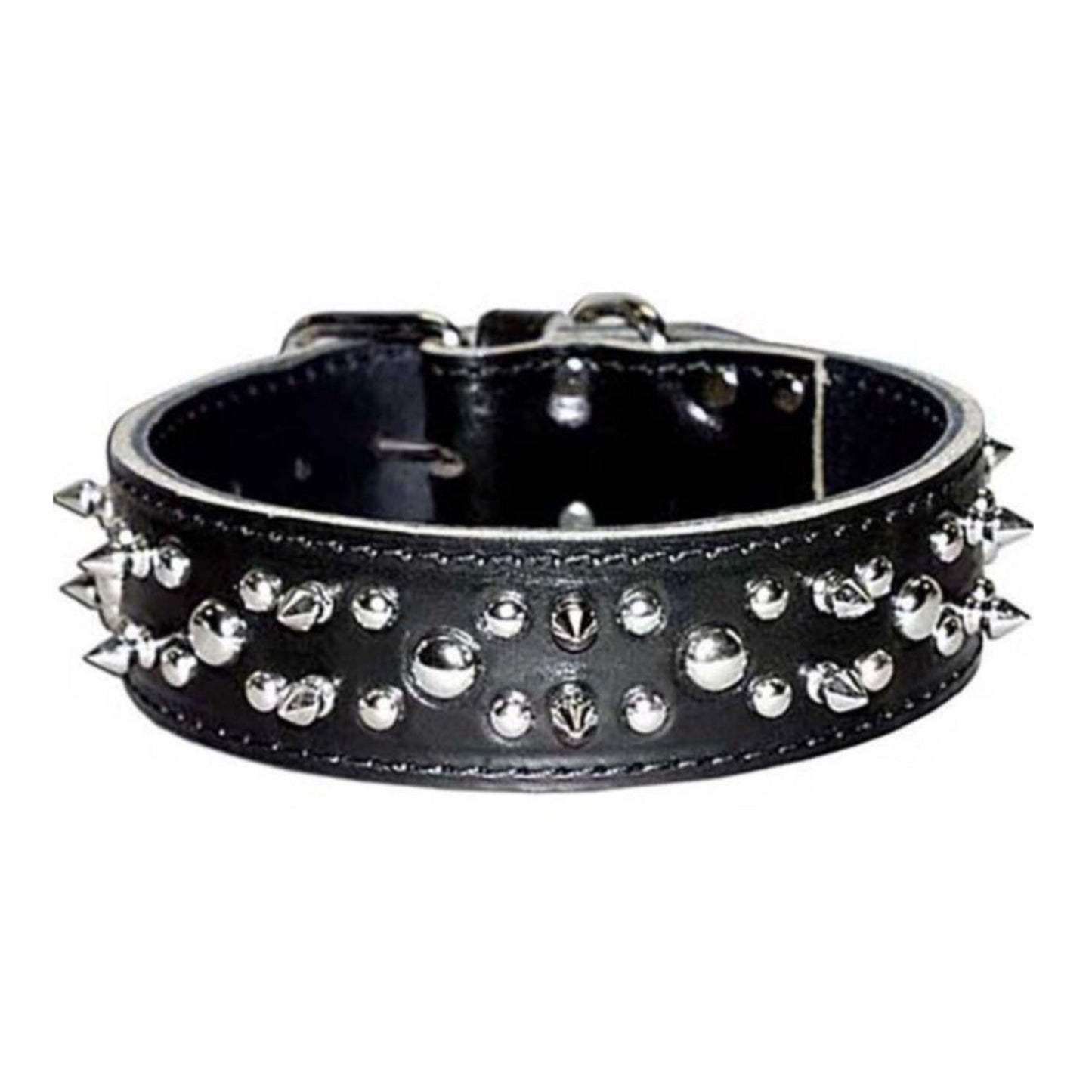 Omni Pet Latigo Leather Spike/Stud Dog Collar Black 1.75 x 24in.