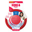 KONG Flyer Dog Toy Red 1ea/SM