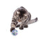 KONG Active Confetti Ball Cat Toy One Size  (2 pack)