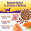 Wellness Dog Complete Health Stew Turkey Barley Carrot 12.5oz. (Case of 12)