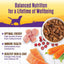 Wellness Dog Complete Health Stew Turkey Duck Sweet Potato Cranberries 12.5oz. (Case of 12)