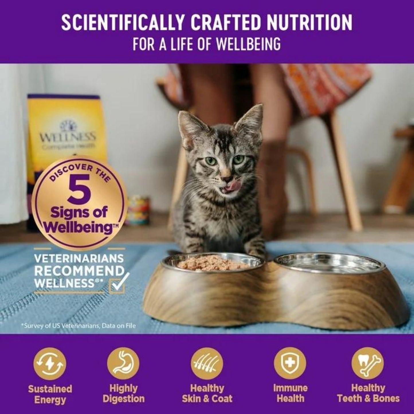 Wellness Cat Complete Health Gravies Chicken Entrée 5.5oz. (Case of 12)