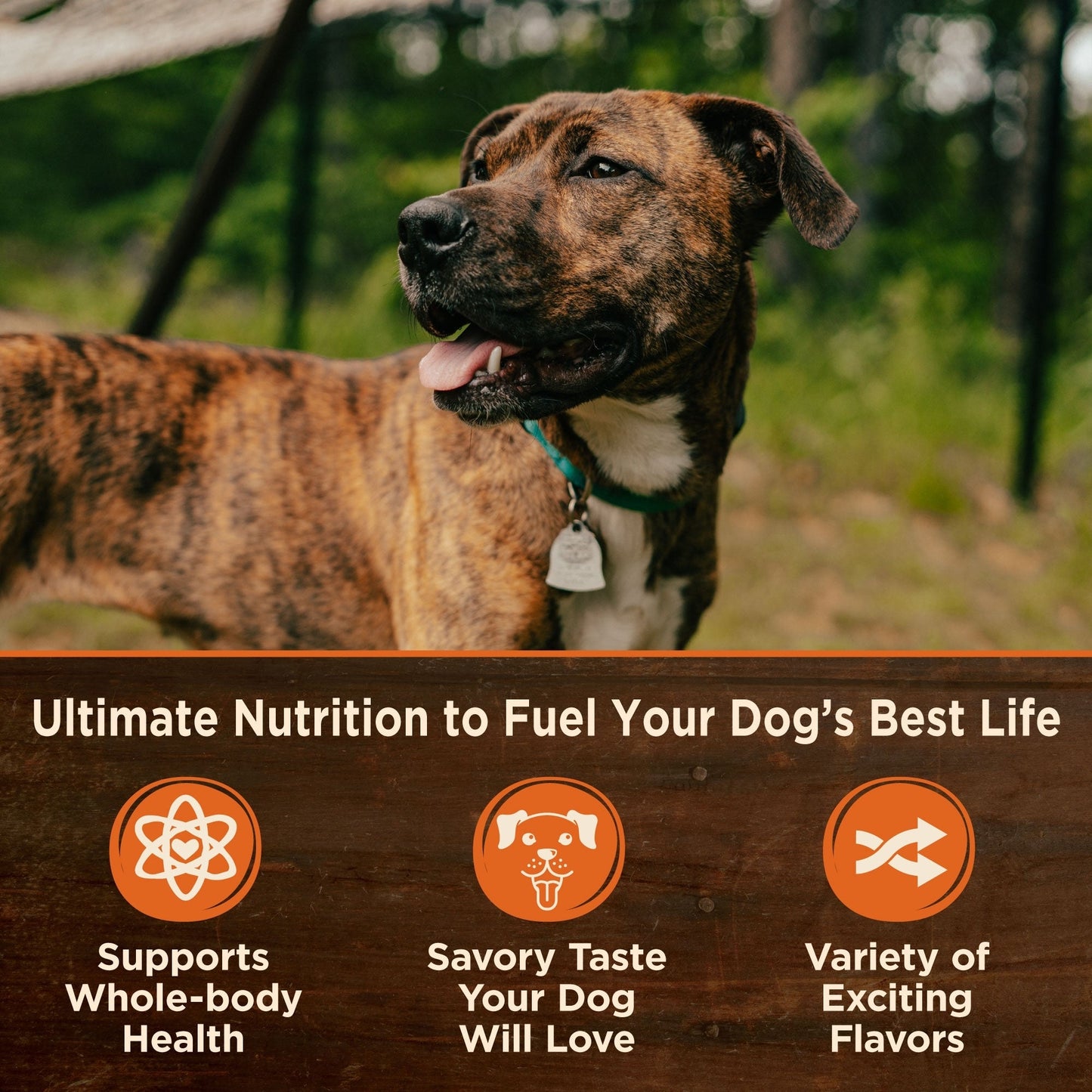 Wellness Dog Core Weight Management Recipe 12.5oz. (Case of 12)