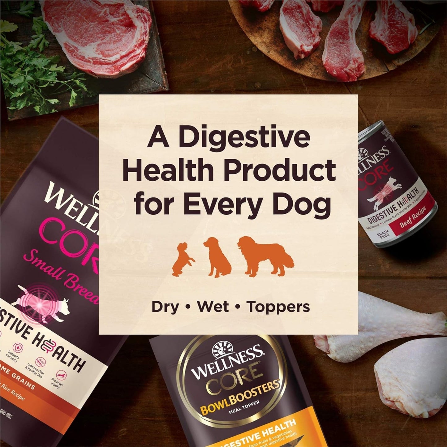 Wellness Dog Core Digestive Health Whitefish Recipe 4Lb