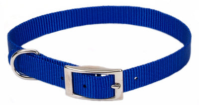 Coastal Single-Ply Nylon Dogcollar Blue 3/8X12In