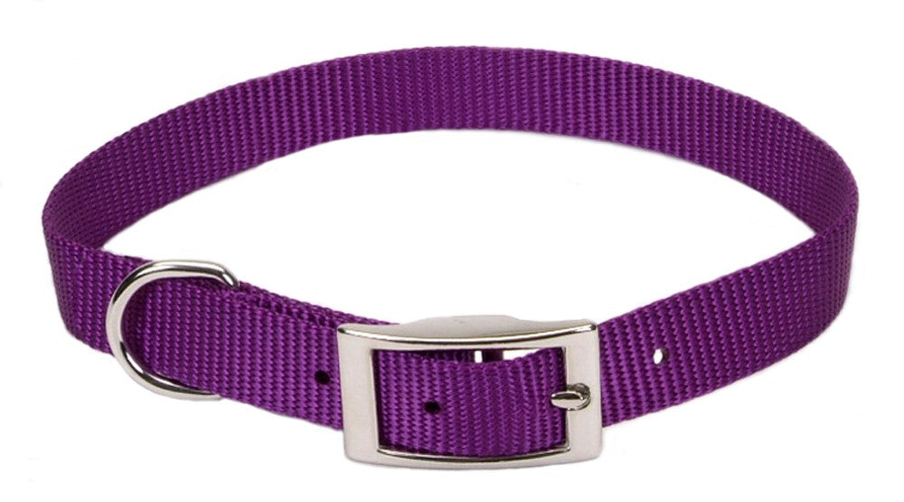 Coastal Single-Ply Nylon Collar Purple 3/8X12In