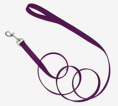 Coastal Single-Ply Nylon Dog Leash Purple 1ea/3/4 In X 4 ft