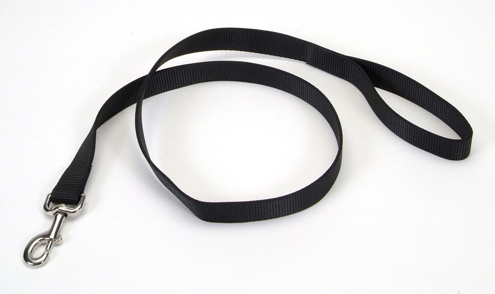 Coastal Single-Ply Nylon Dog Leash Black 1ea/1 In X 4 ft