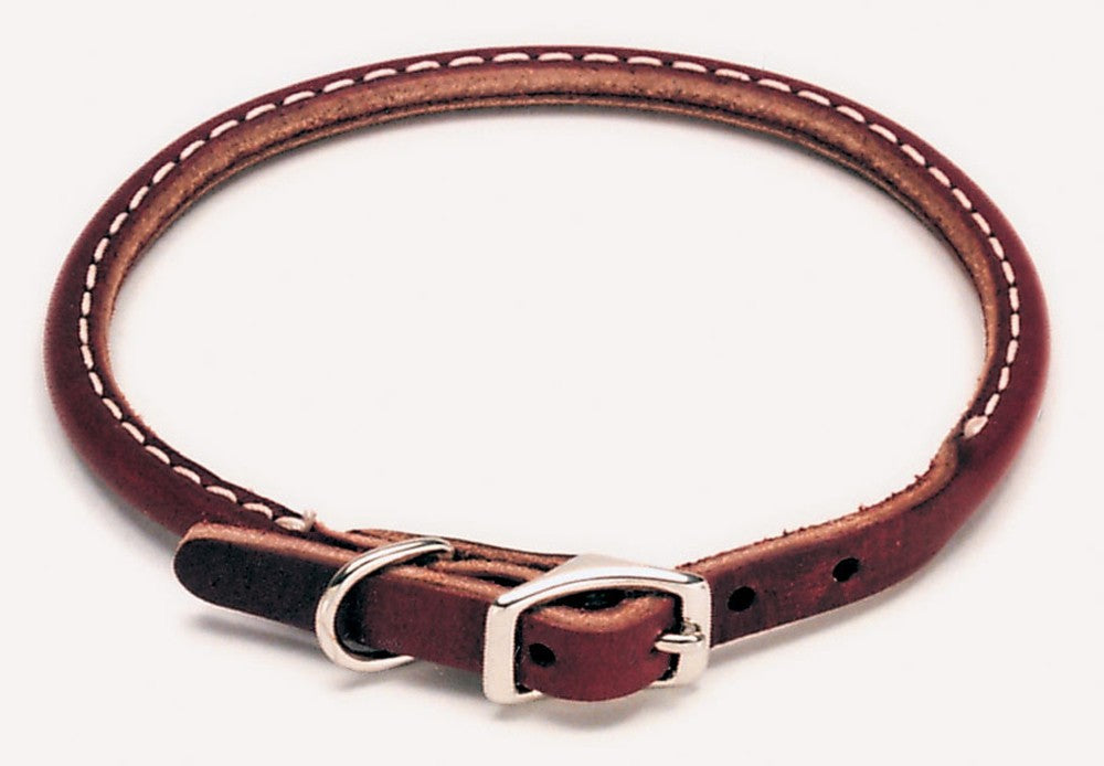 Circle T Latigo Leather Round Dog Collar Brown 1ea/3/8 In X 12 in