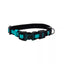 Inspire Adjustable Dog Collar Aqua 5/8 x 8-12in. XSmall