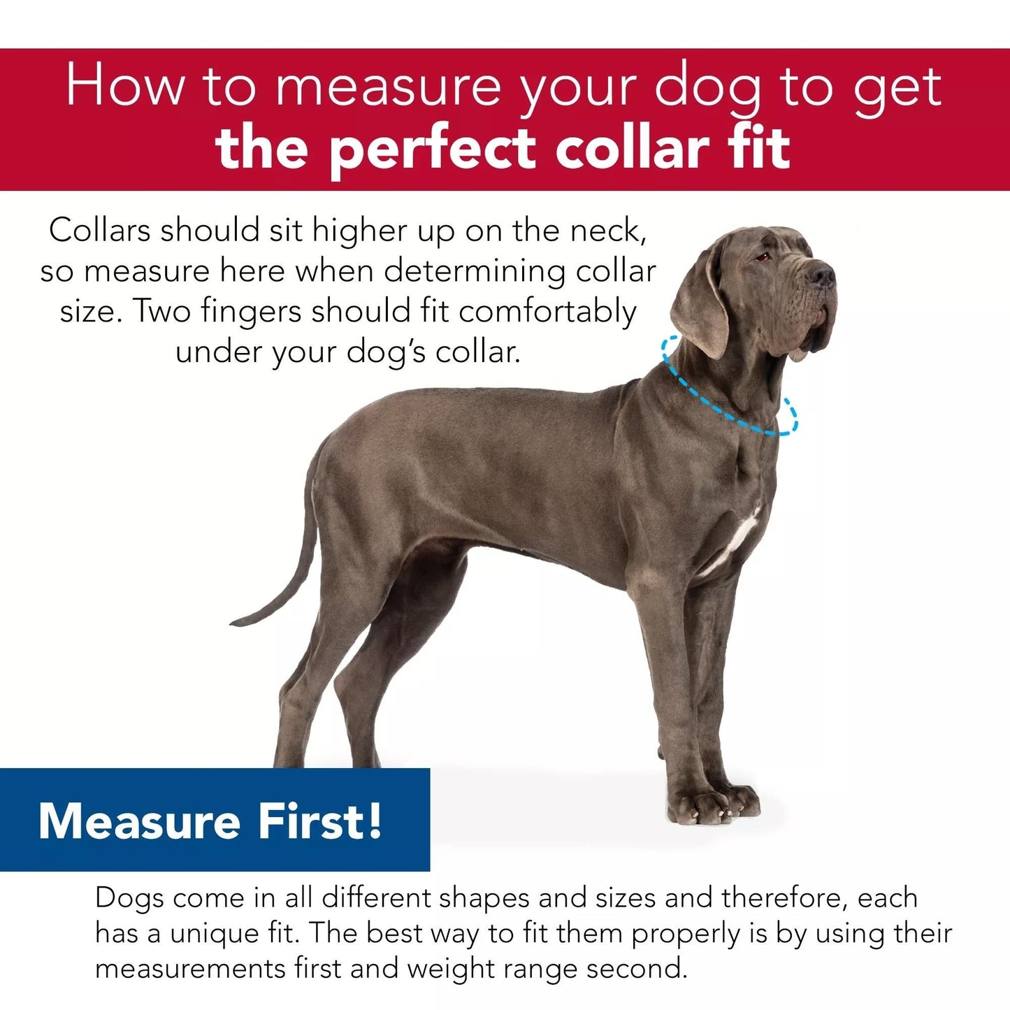 Inspire Adjustable Dog Collar Aqua 1 x 18-26in. Large