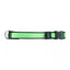 Inspire Adjustable Dog Collar Green 1 x 18-26in. Large