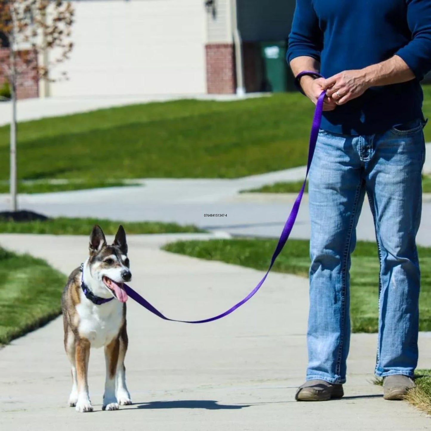 Inspire Dog Leash Purple 1in. x 6ft. Medium/Large