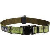 Coastal K9 Explorer 1 Inch Adj Collar Fern Green (12-18 Inch)