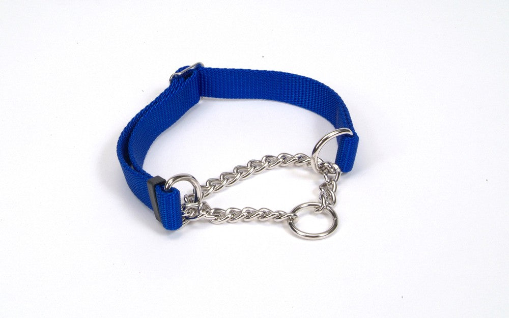 Check-Choke Adjustable Check Training Dog Collar Blue 1ea/5/8 In X 10-14 in