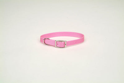 Coastal Single-Ply Nylon Collar Bright Pink 3/4X16In