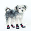 Fashion Pet Extreme All Weather Boots Red/Black 1ea/XXxs