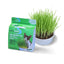 Van Ness Plastics Pureness Oat Garden Kit 1ea/4 oz