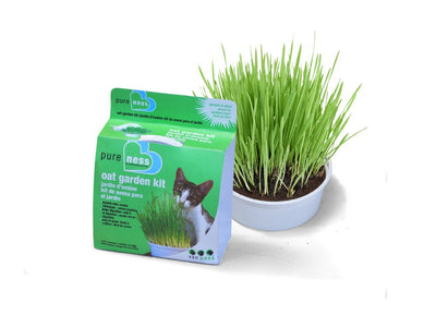 Van Ness Plastics Pureness Oat Garden Kit 1ea/4 oz