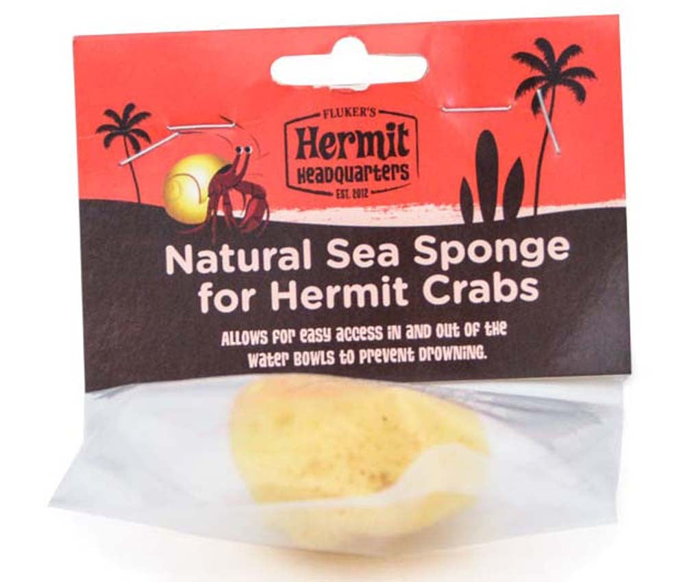 Fluker's Hermit Crab Natural Sea Sponge Yellow 1ea