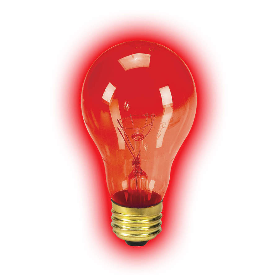 Zilla Incandescent Bulbs Night Red 1ea/50 W