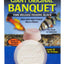 Zoo Med Original Banquet Fish Feeding Block 1ea/1.4 oz, Giant