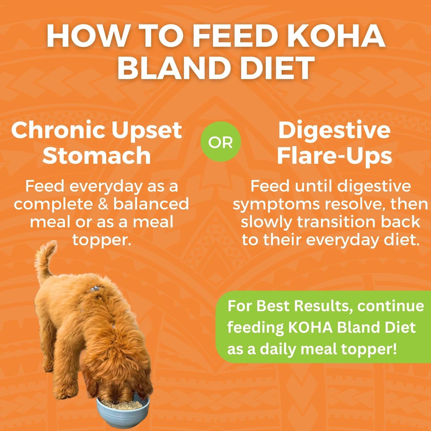 Koha Dog Bland Diet Chicken Rice 12.5oz. (Case of 6)