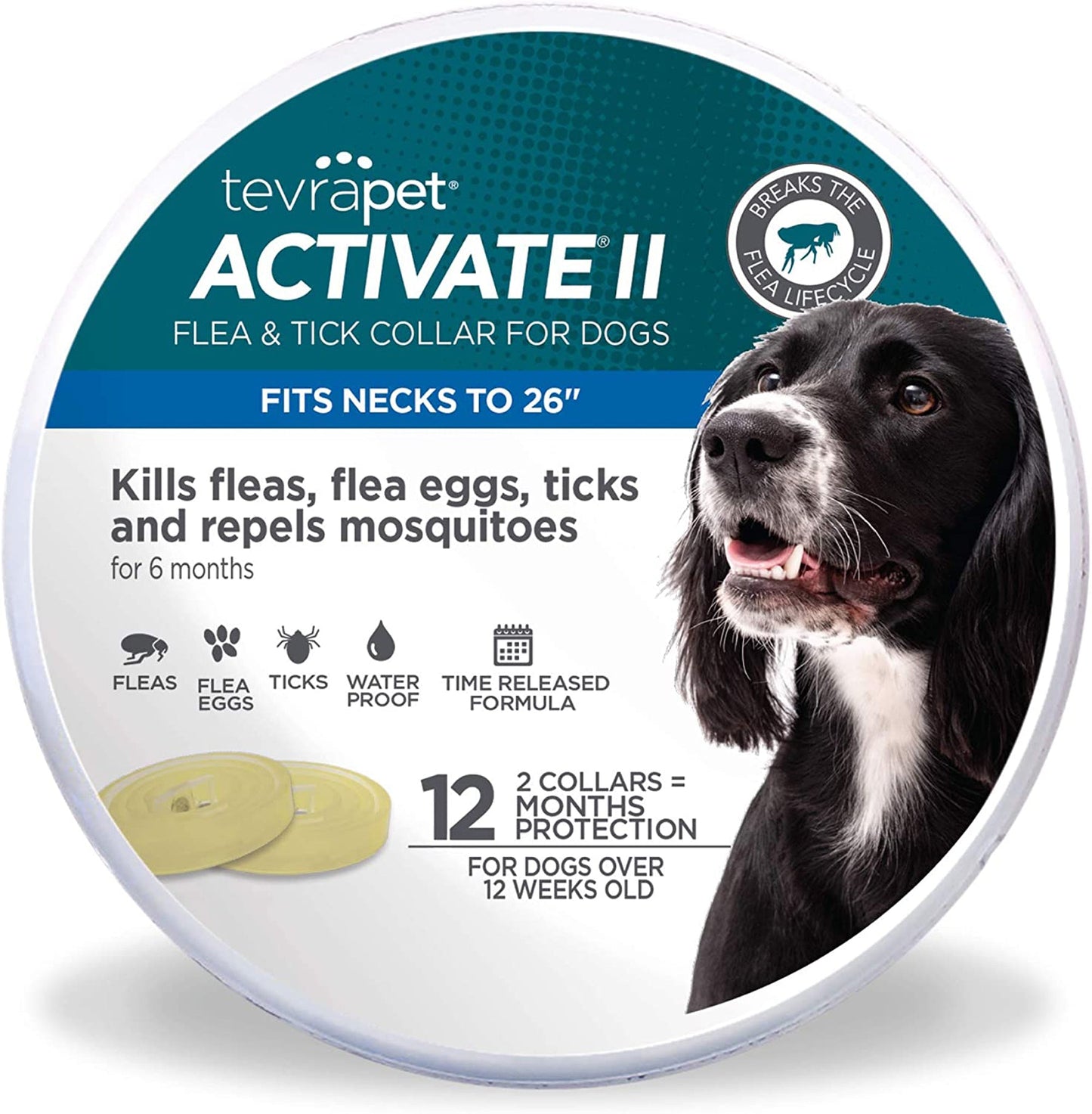 Vetality Protect Flea & Tick Dog Collar 1ea/2 pk
