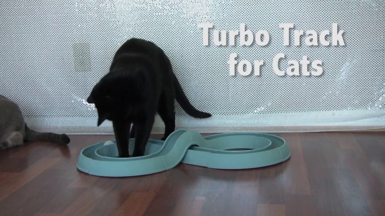 Bergan Turbo Track Cat Toy Slate Blue 1 Pack