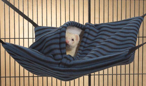 Marshall Pet Products Ferrets Hanging Nap Sack Assorted 1ea