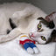 Multipet Mr. Bill Cat Toy 4 inch