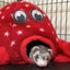 Marshall Pet Products Ferret Octo-Play Toy Octopus Red 1ea/One Size