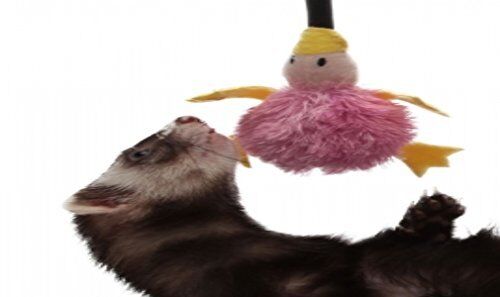 Marshall Pet Products Ferret Bungee Toy Platypus Pink 1ea/One Size