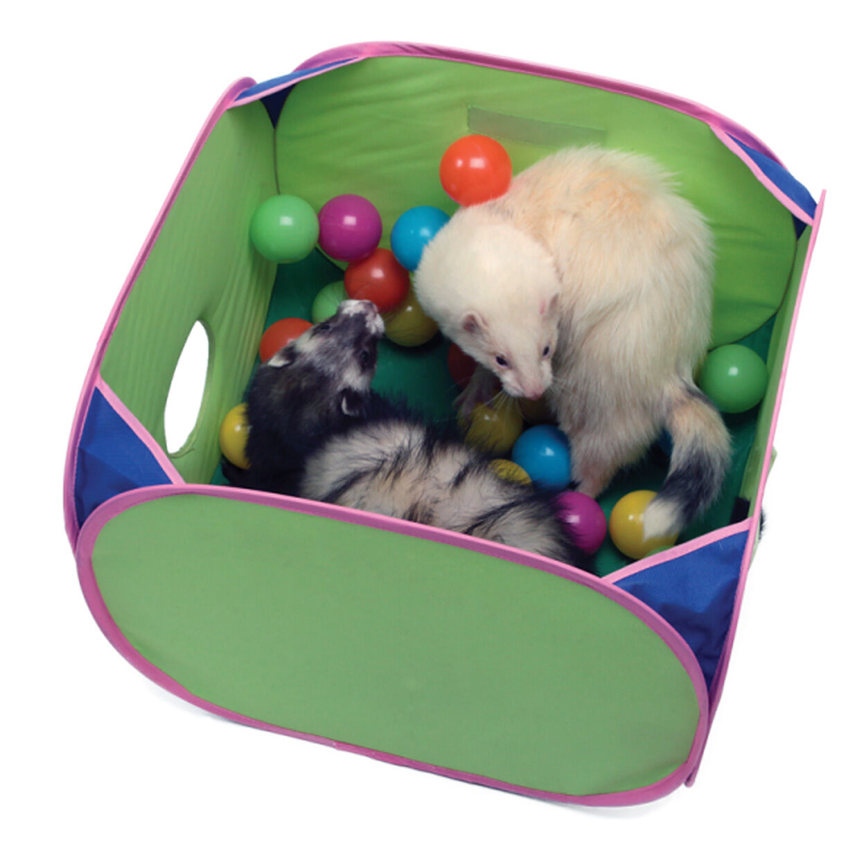 Marshall Pet Products Ferret Pop-N-Play Ball Pit with Plastic Balls Assorted 1ea/SM