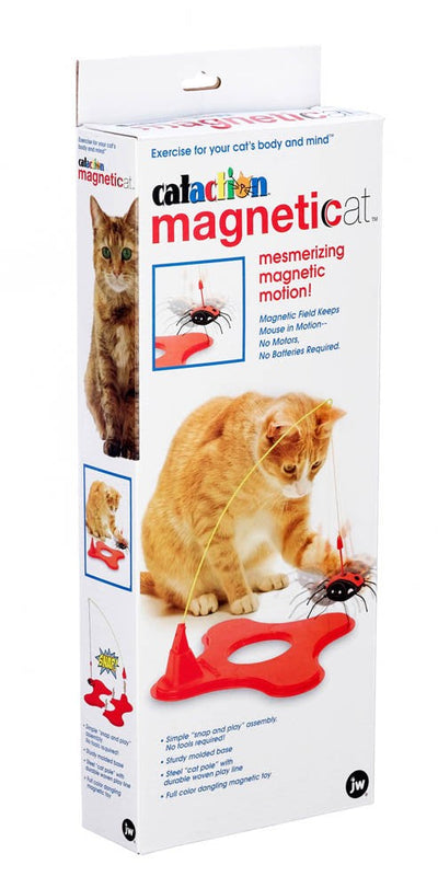 JW Pet Magneticat Interactive Cat Toy Multi-Color 1ea/One Size