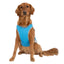 Canada Pooch Dog Cooling Vest Aqua 10