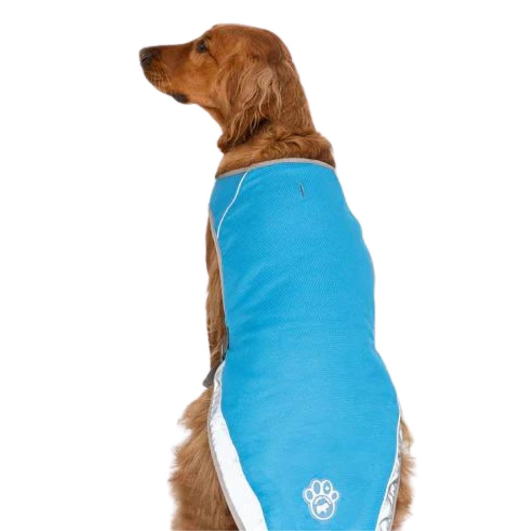Canada Pooch Dog Cooling Vest Aqua 12