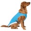 Canada Pooch Dog Cooling Vest Aqua 14
