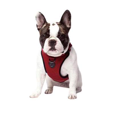 Canada Pooch Dog Everything Harness Mesh Red LG