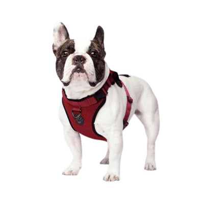 Canada Pooch Dog Everything Harness Mesh Red XLG
