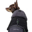 Canada Pooch Dog Cool Factor Hoodie Black 20