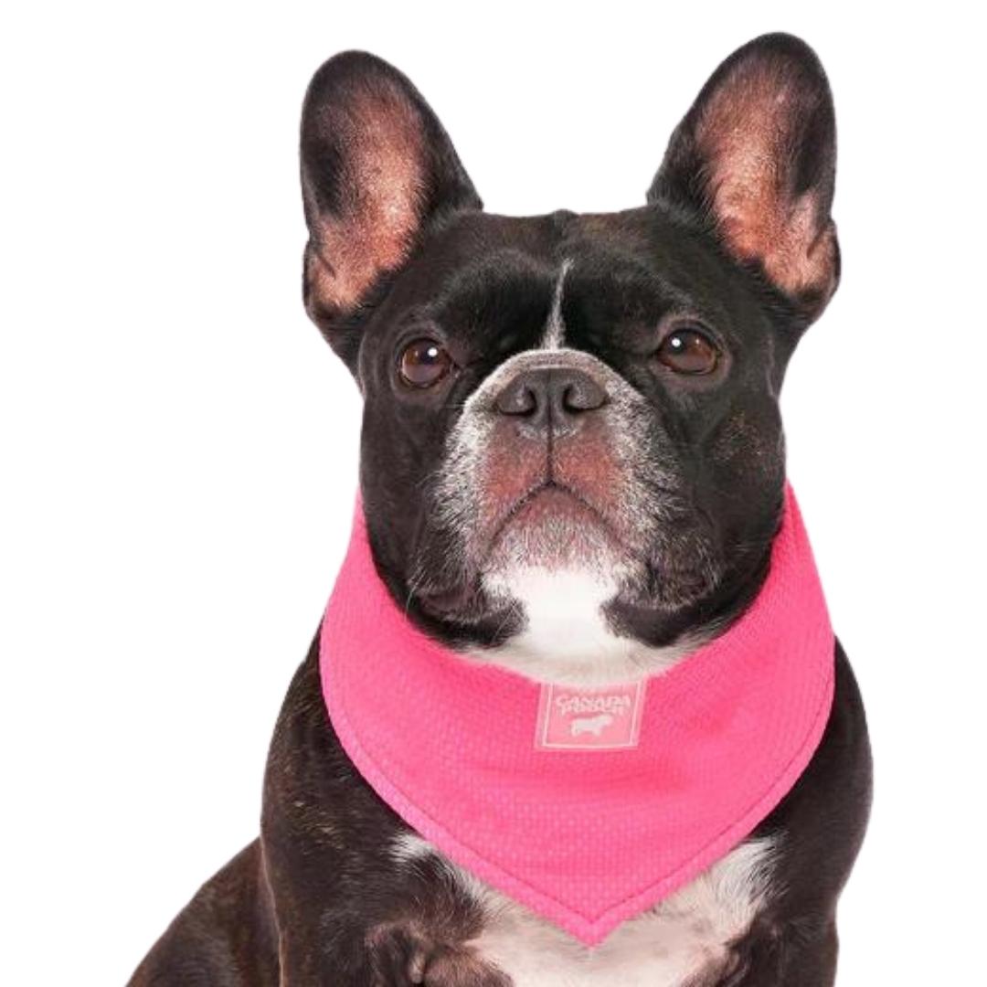 Canada Pooch Dog Cooling Bandana Neon Pink MD