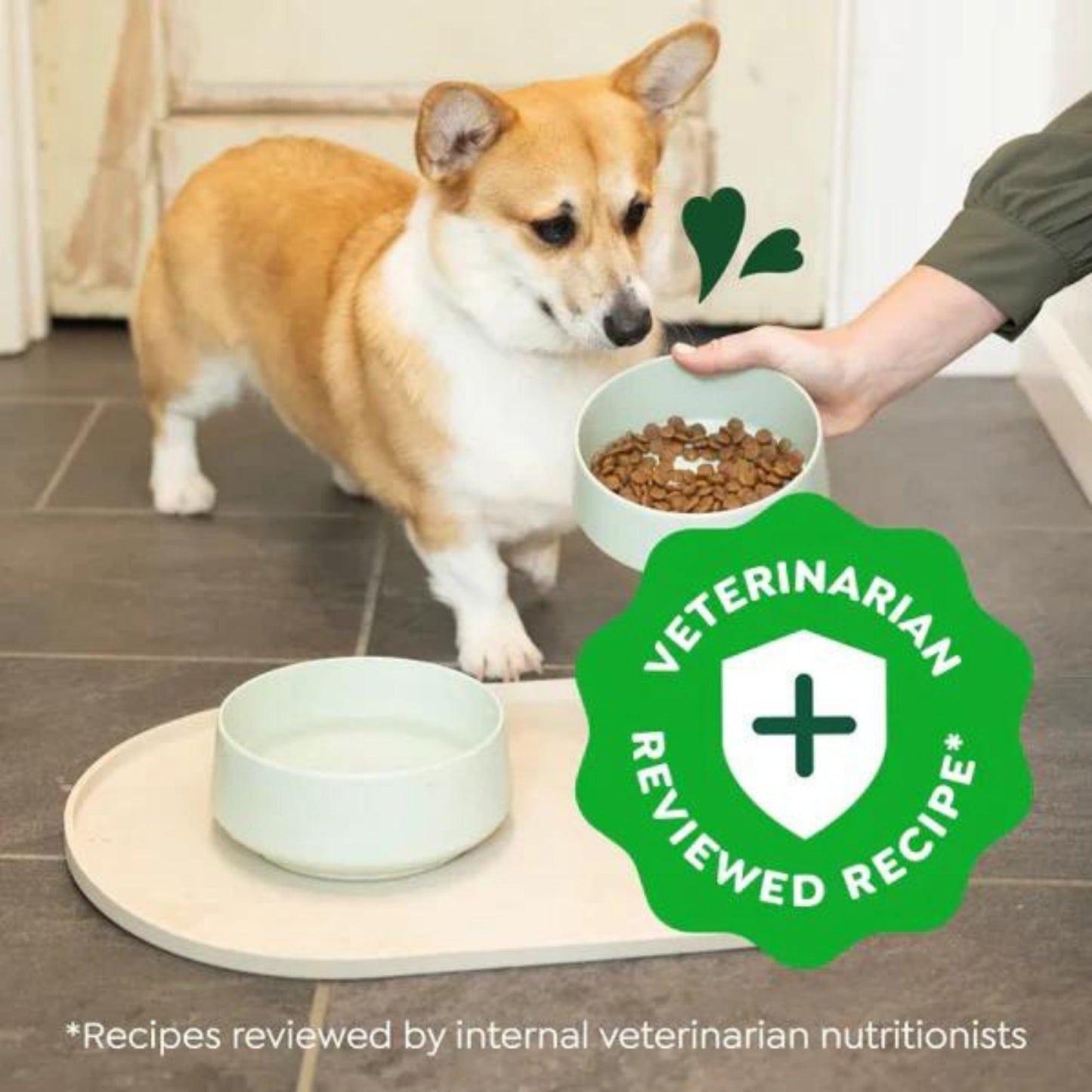 Greenies Smart Essentials Small Breed Dry Dog Food Chicken & Rice, 1ea/27 lb