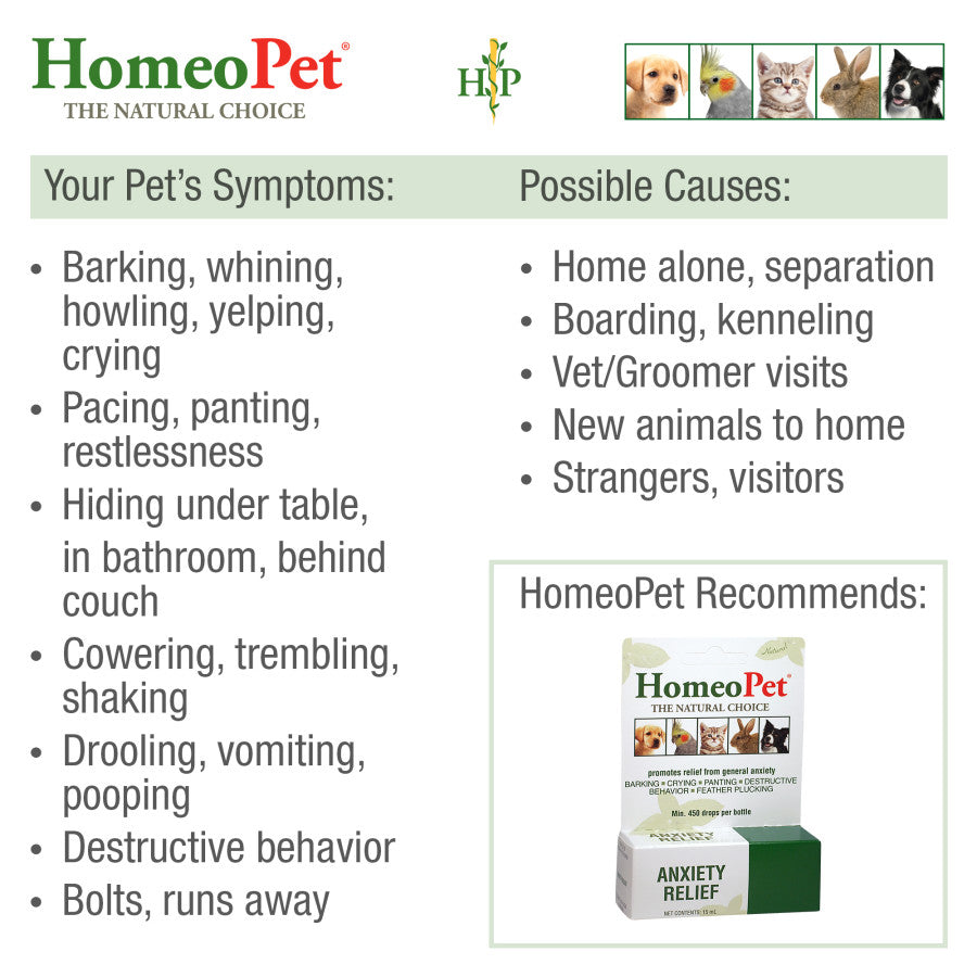 HomeoPet Anxiety Relief 1ea/15 ml